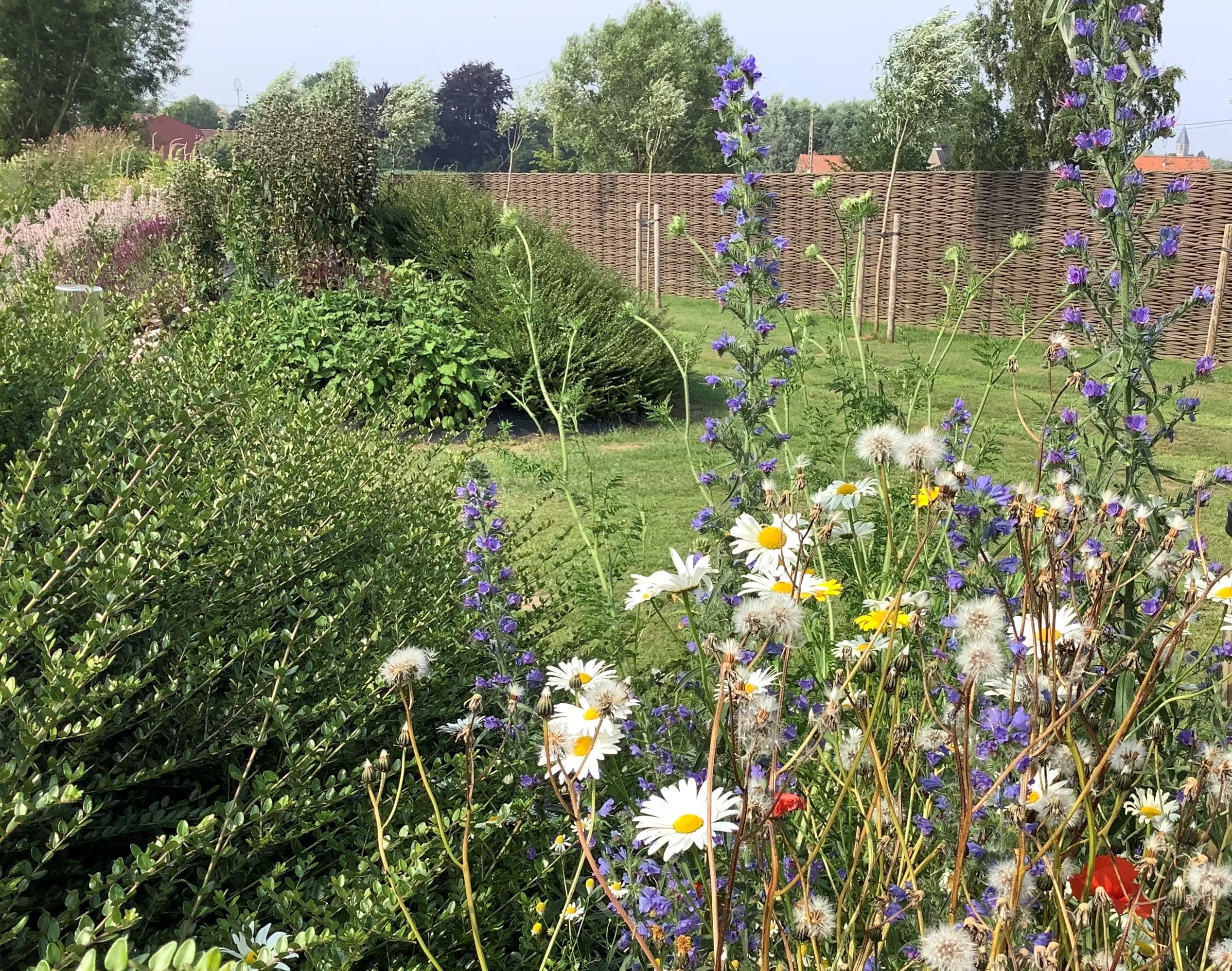 Brown wood-fibre weaving in a flower-filled garden